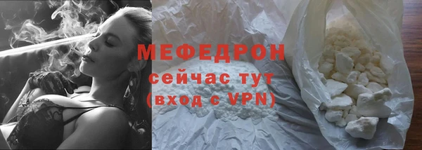 индика Вяземский