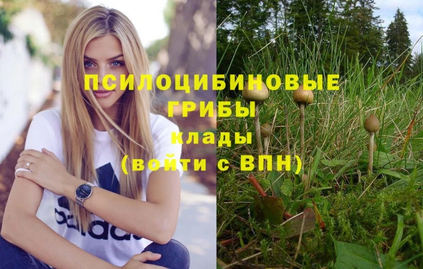 крисы Волоколамск
